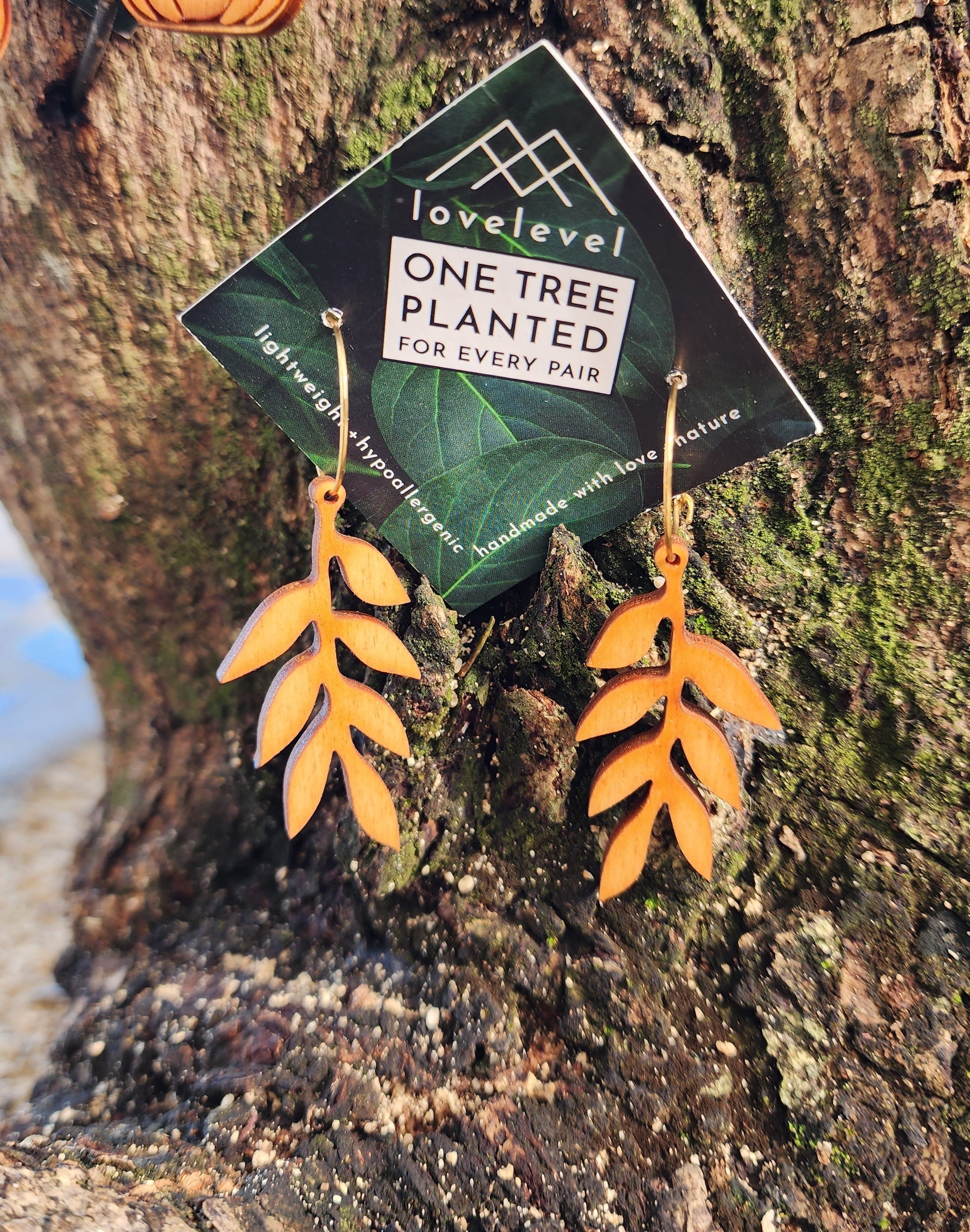 Wooden maile leaf earrings on a card with 'lovelevel' branding hanging from a tree.