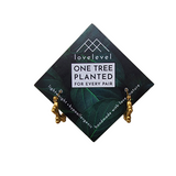 Golden hoop earrings on a card with 'lovelevel' branding.