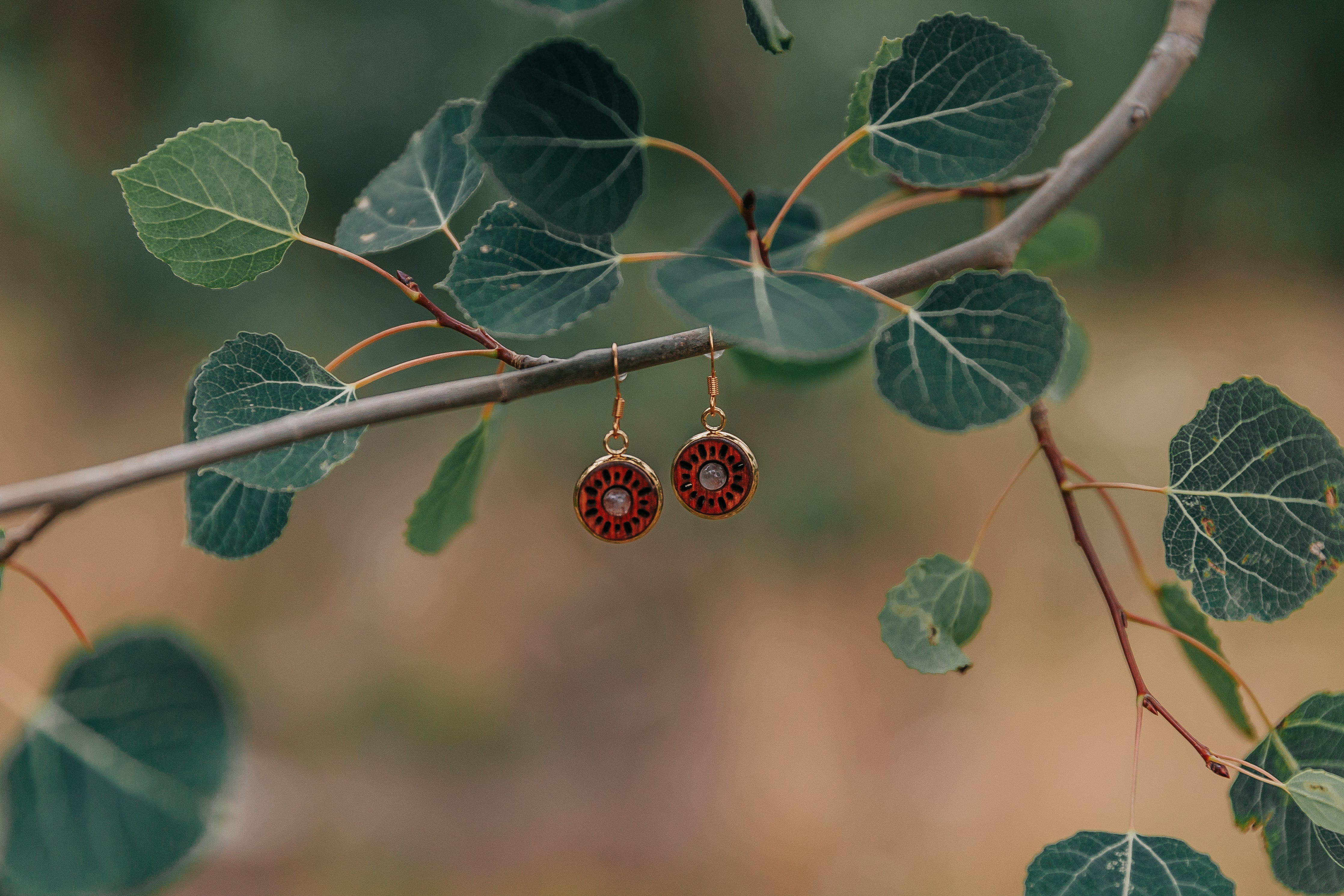 Pair of circular wooden earrings with an opaque stone in the center hanging from a stick with leaves.