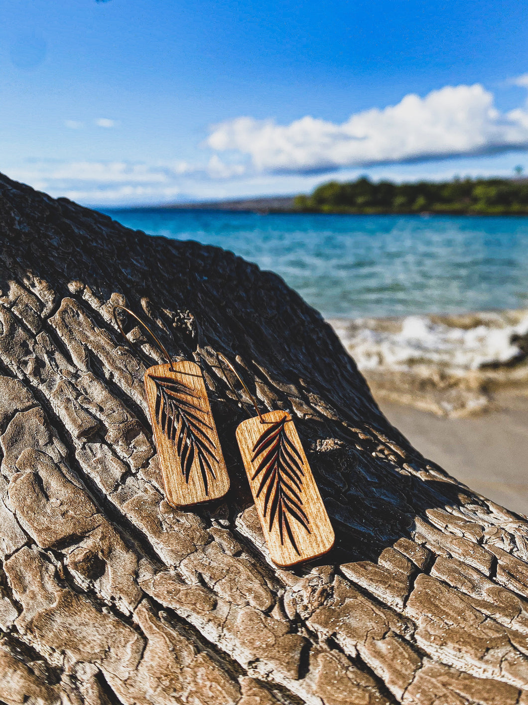 Hawaii Wood Earrings | PALM