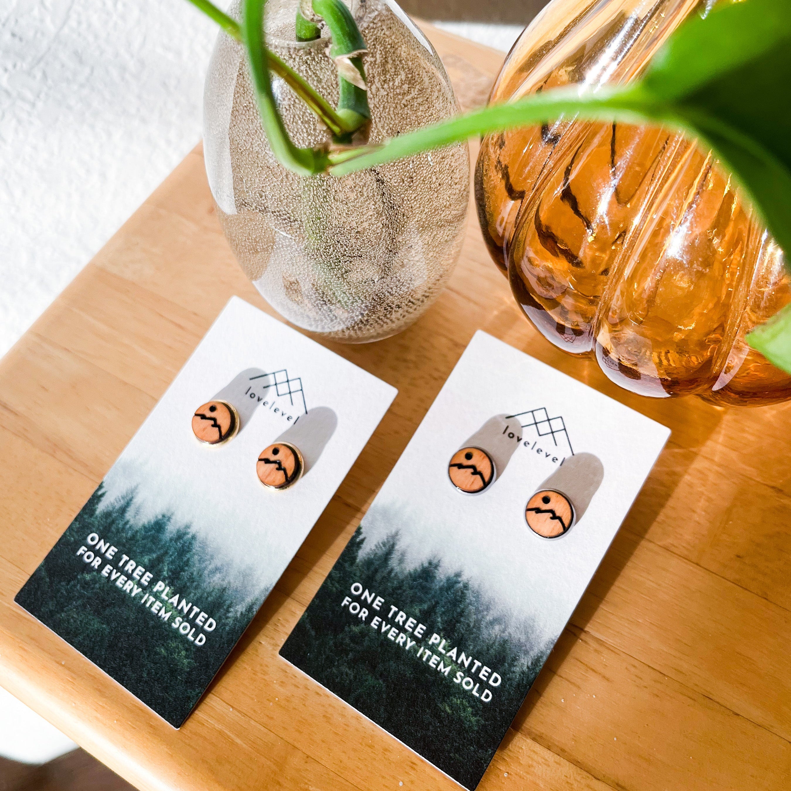 Wooden stud earrings with a mountain etched into them on cards with tree planting message on a wooden surface with vases and plants.
