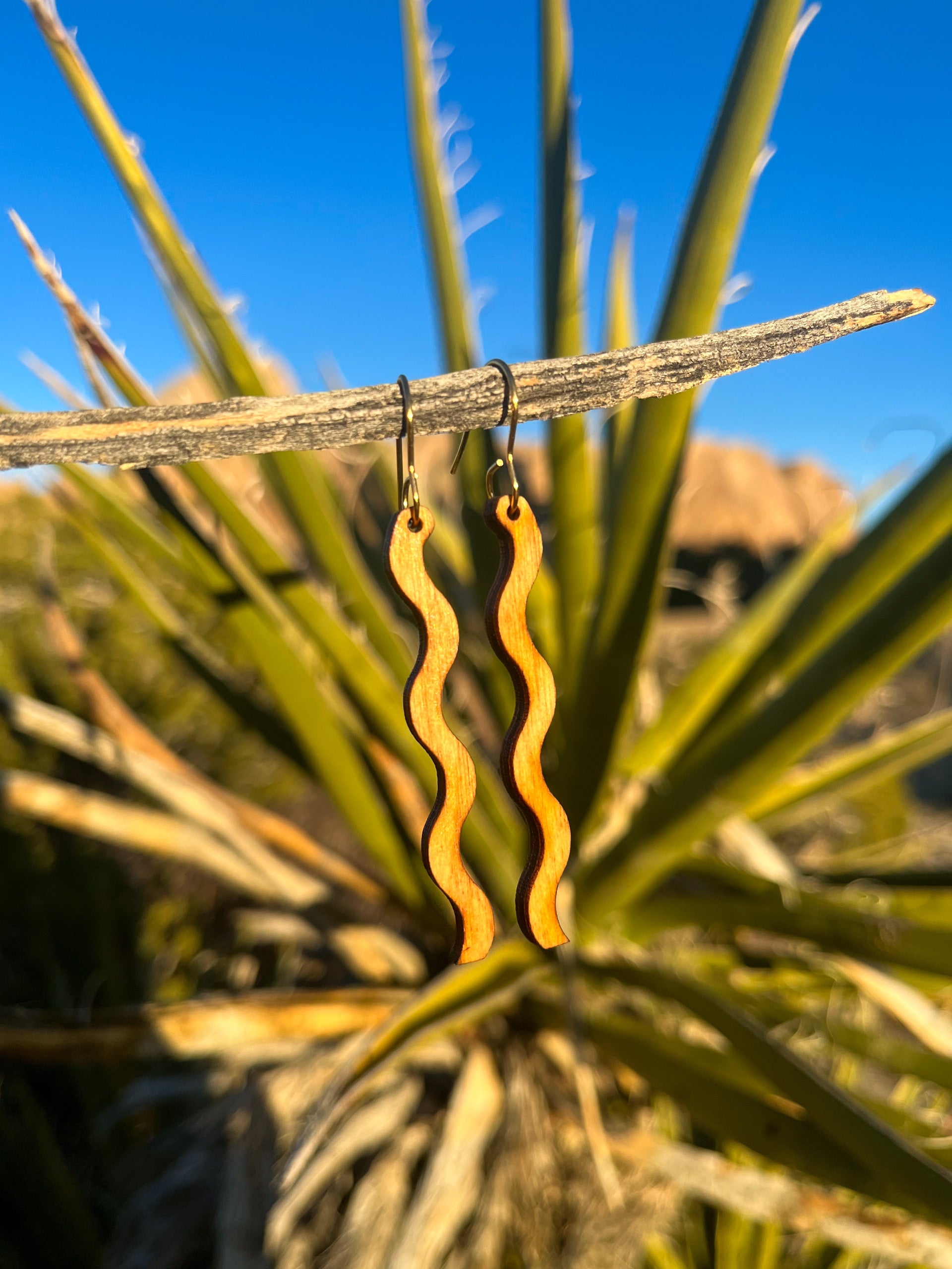 A pair of wooden earrings in a squiggle pattern hanging from a stick in front of a cactus.