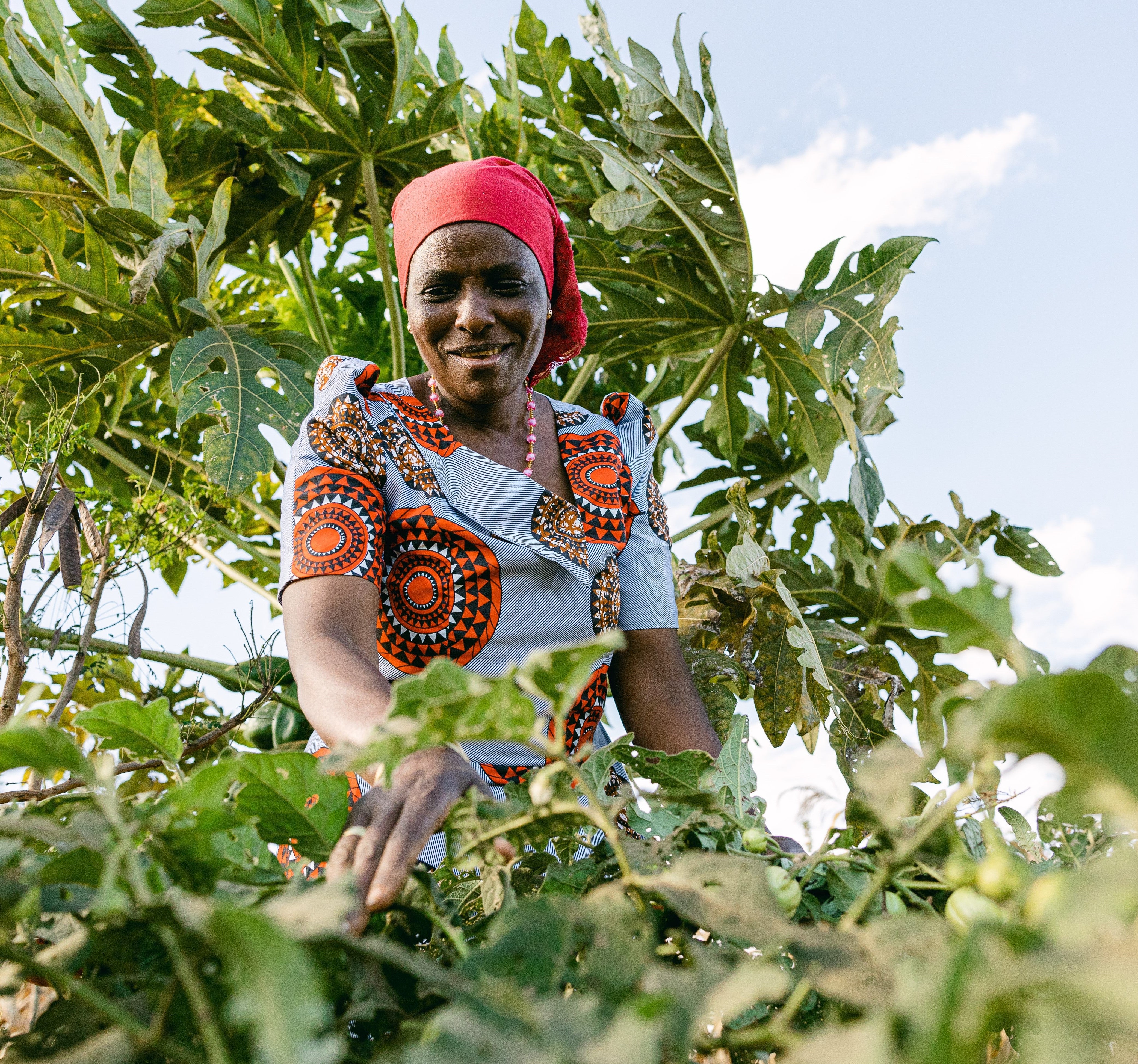 Empowering Change Through Handmade Fashion and Reforestation