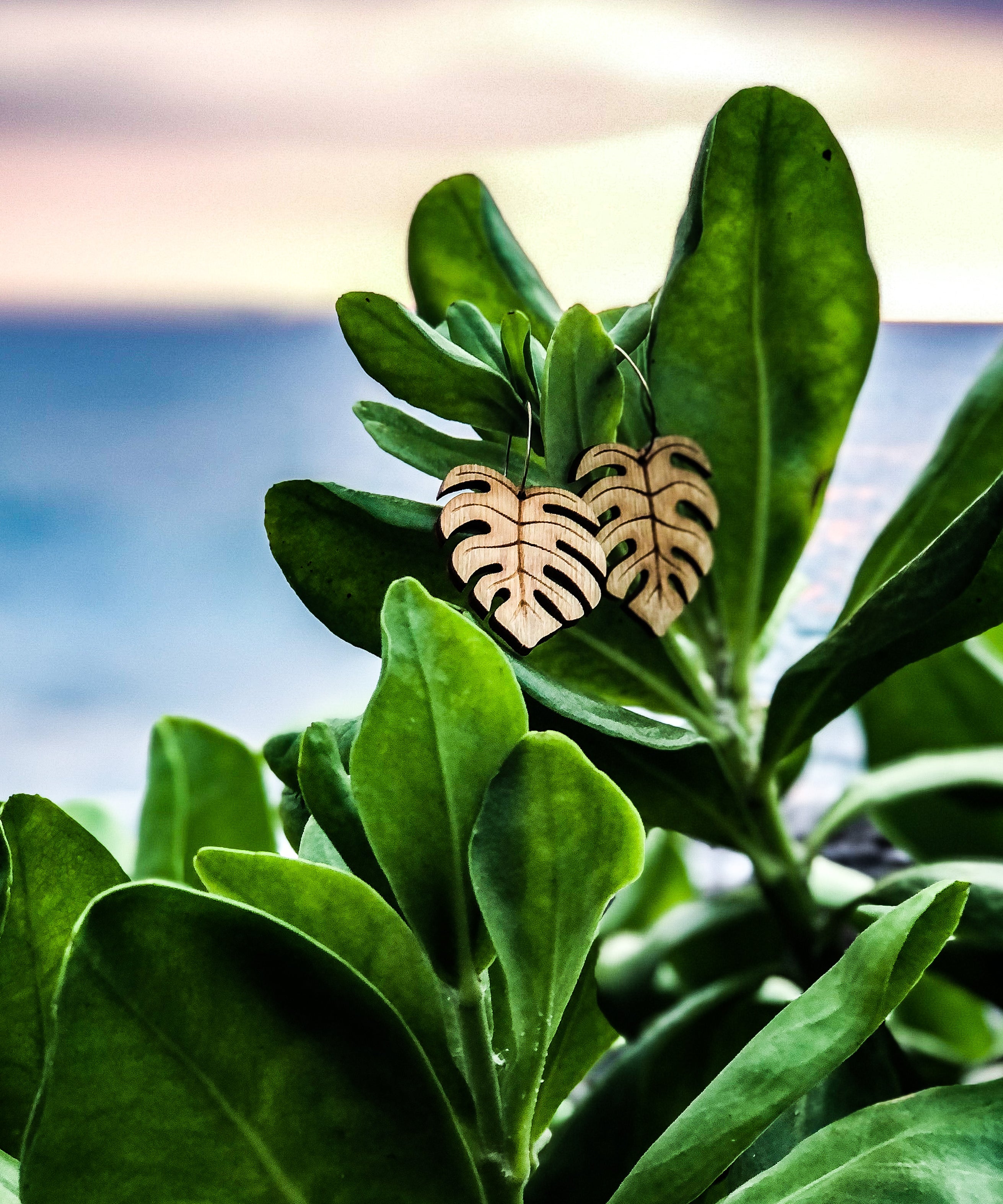 Hawaii Wood Earrings | MONSTERA
