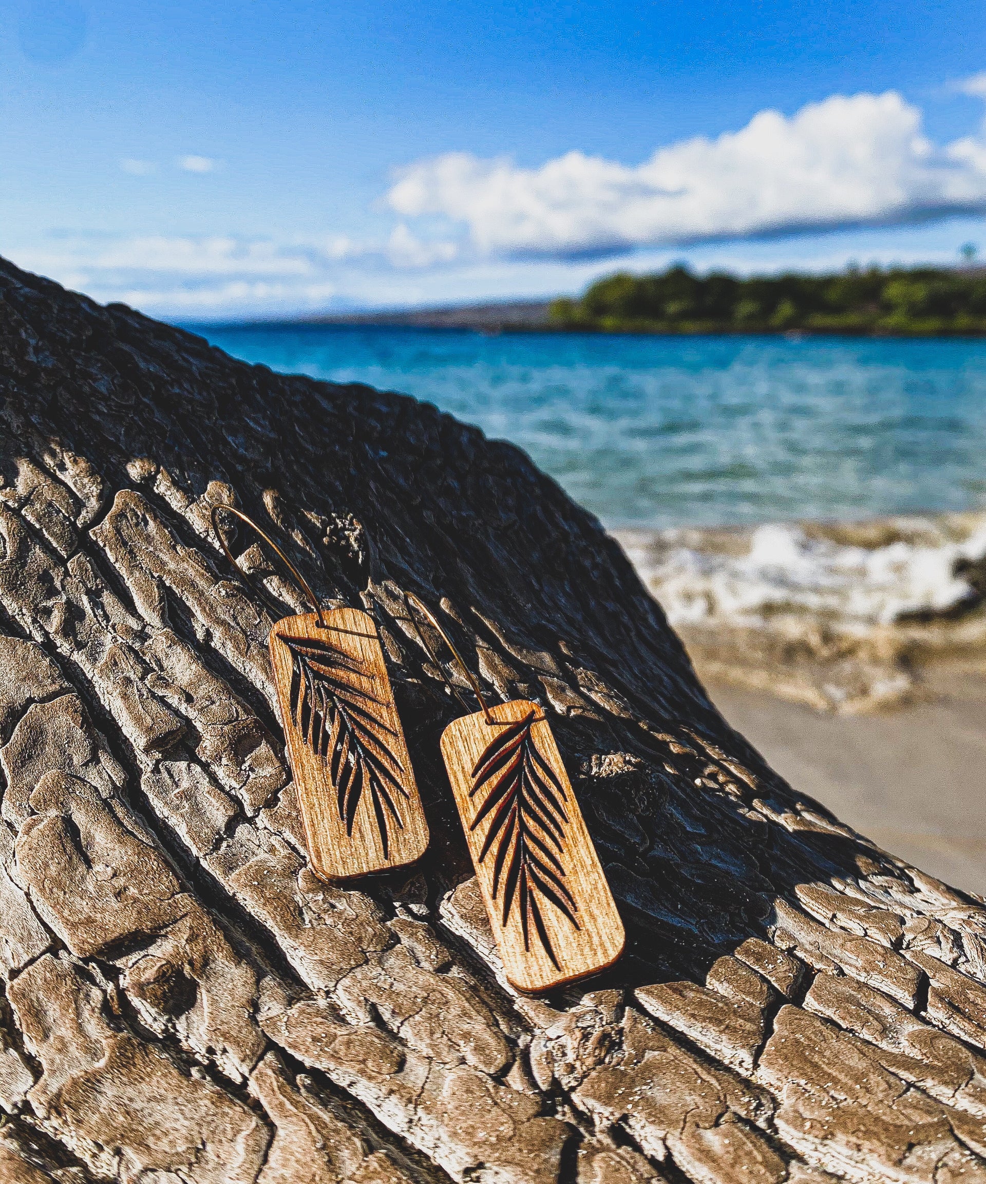 Hawaii Wood Earrings | PALM