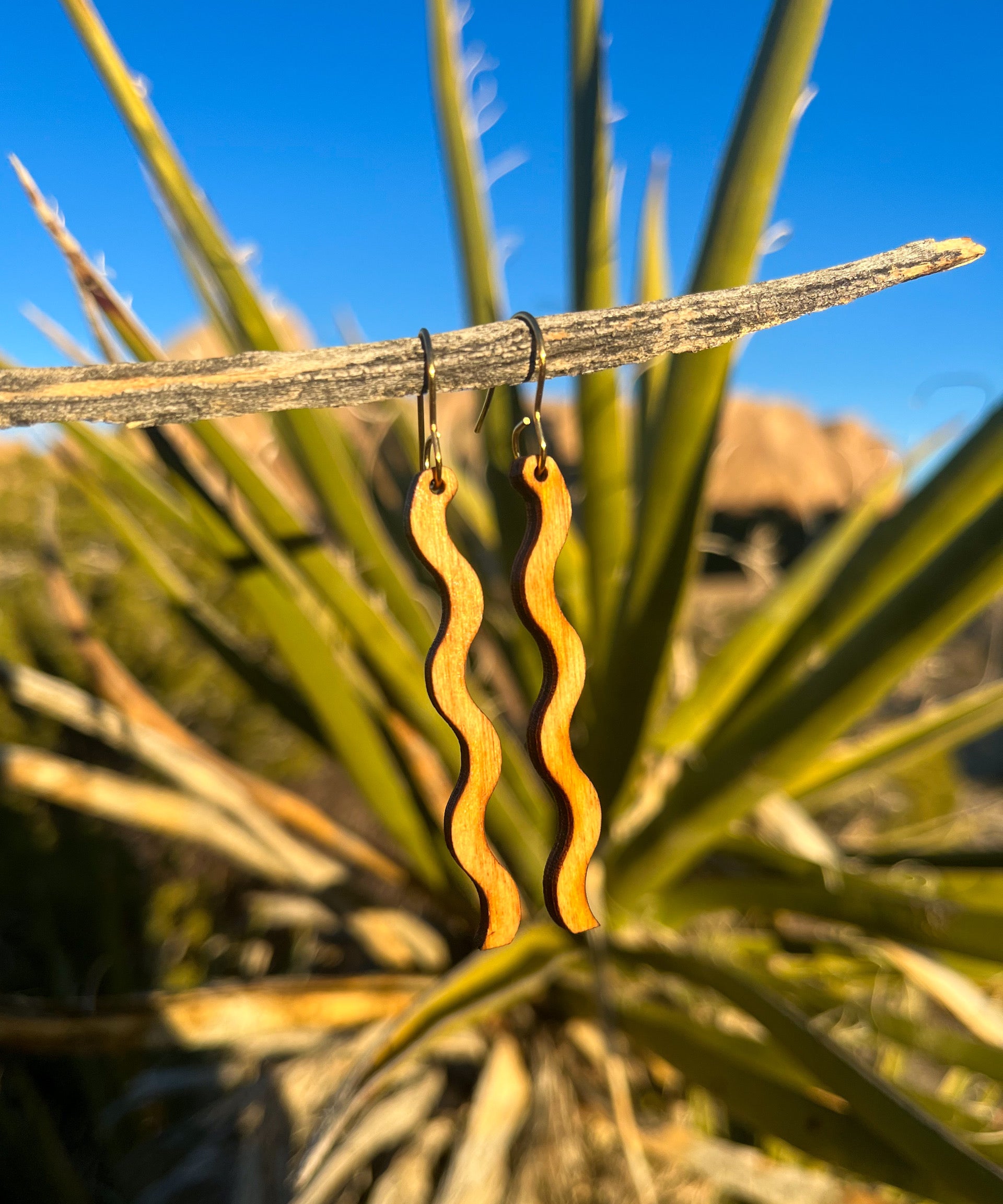 A pair of wooden earrings in a squiggle pattern hanging from a stick in front of a cactus.